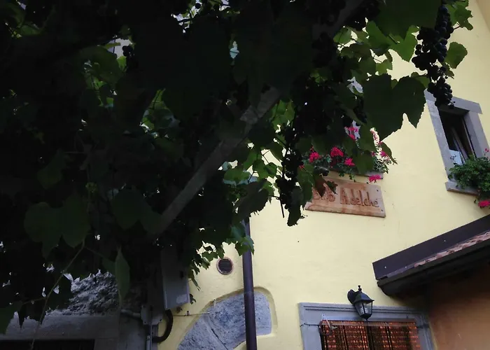 B&B Adelche